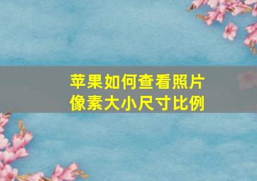 苹果如何查看照片像素大小尺寸比例