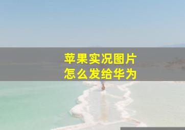 苹果实况图片怎么发给华为