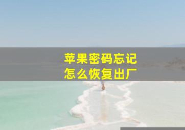 苹果密码忘记怎么恢复出厂