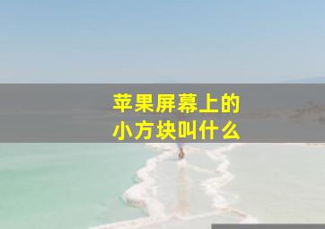 苹果屏幕上的小方块叫什么