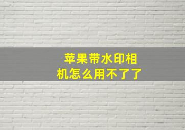 苹果带水印相机怎么用不了了