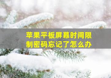 苹果平板屏幕时间限制密码忘记了怎么办