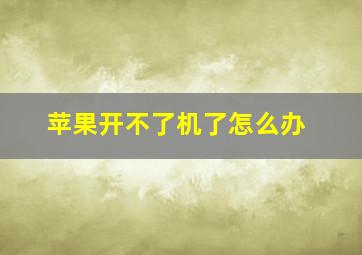 苹果开不了机了怎么办