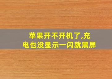 苹果开不开机了,充电也没显示一闪就黑屏