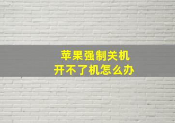 苹果强制关机开不了机怎么办