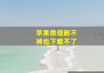 苹果微信删不掉也下载不了