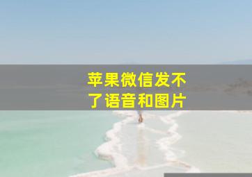 苹果微信发不了语音和图片