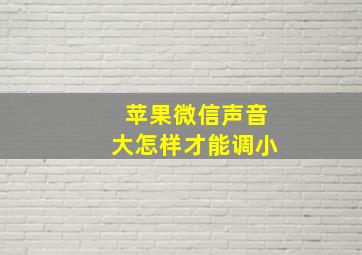 苹果微信声音大怎样才能调小