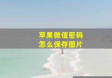 苹果微信密码怎么保存图片