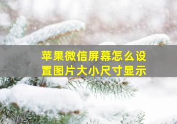 苹果微信屏幕怎么设置图片大小尺寸显示