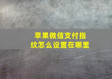 苹果微信支付指纹怎么设置在哪里