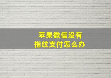 苹果微信没有指纹支付怎么办