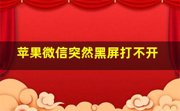 苹果微信突然黑屏打不开