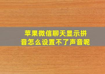 苹果微信聊天显示拼音怎么设置不了声音呢