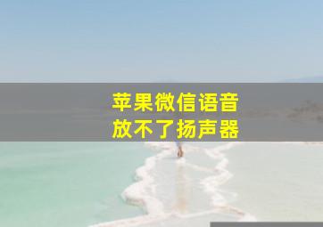 苹果微信语音放不了扬声器