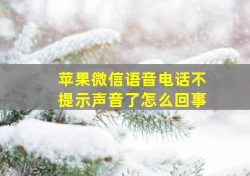 苹果微信语音电话不提示声音了怎么回事