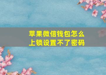 苹果微信钱包怎么上锁设置不了密码