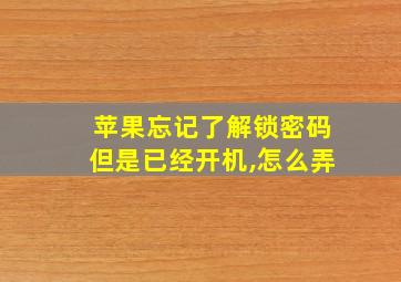 苹果忘记了解锁密码但是已经开机,怎么弄