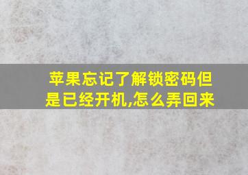 苹果忘记了解锁密码但是已经开机,怎么弄回来