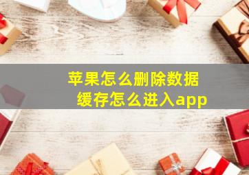 苹果怎么删除数据缓存怎么进入app