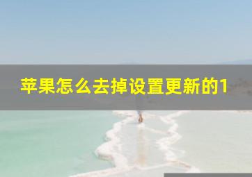 苹果怎么去掉设置更新的1