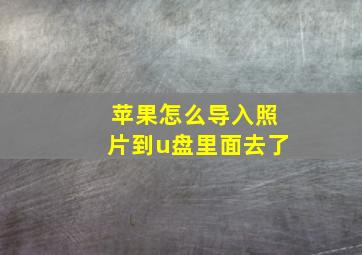 苹果怎么导入照片到u盘里面去了