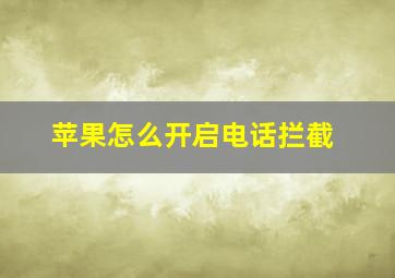 苹果怎么开启电话拦截