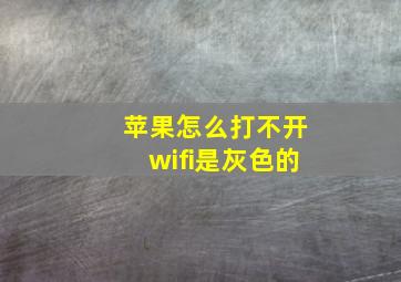 苹果怎么打不开wifi是灰色的