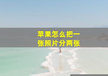 苹果怎么把一张照片分两张