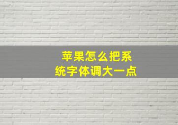 苹果怎么把系统字体调大一点