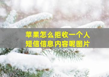 苹果怎么拒收一个人短信信息内容呢图片