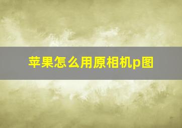 苹果怎么用原相机p图