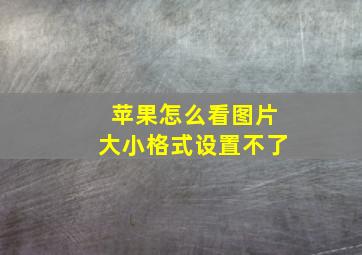 苹果怎么看图片大小格式设置不了