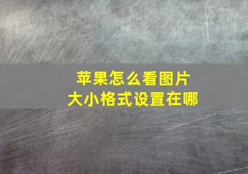 苹果怎么看图片大小格式设置在哪