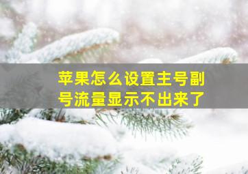 苹果怎么设置主号副号流量显示不出来了