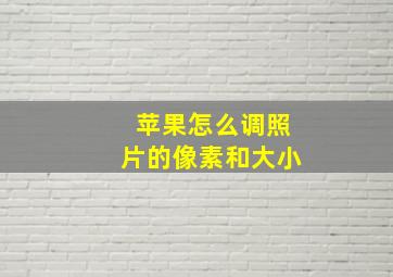 苹果怎么调照片的像素和大小