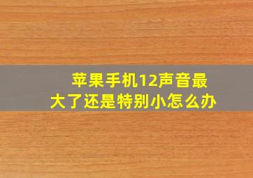 苹果手机12声音最大了还是特别小怎么办