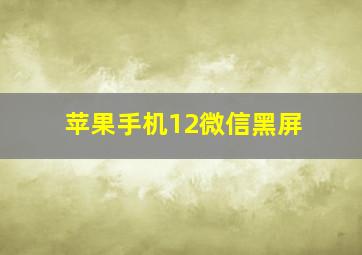 苹果手机12微信黑屏