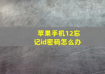 苹果手机12忘记id密码怎么办