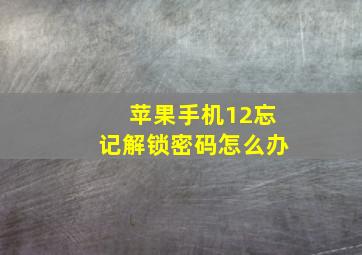 苹果手机12忘记解锁密码怎么办