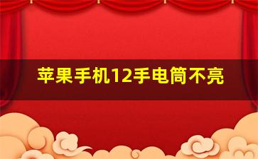 苹果手机12手电筒不亮