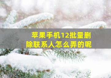 苹果手机12批量删除联系人怎么弄的呢