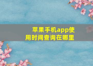 苹果手机app使用时间查询在哪里