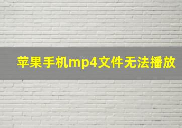 苹果手机mp4文件无法播放