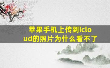 苹果手机上传到icloud的照片为什么看不了