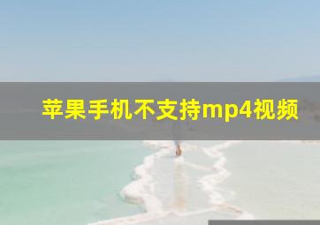 苹果手机不支持mp4视频