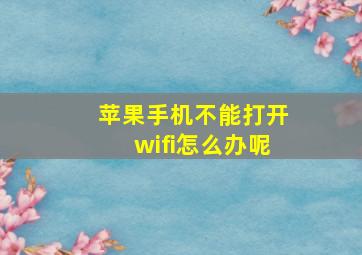 苹果手机不能打开wifi怎么办呢