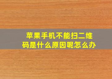 苹果手机不能扫二维码是什么原因呢怎么办