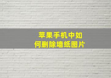 苹果手机中如何删除墙纸图片