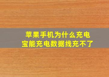 苹果手机为什么充电宝能充电数据线充不了